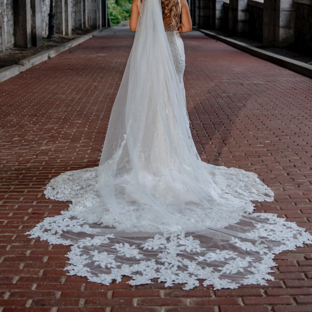 Elegant White Wedding Veil with Lace Train